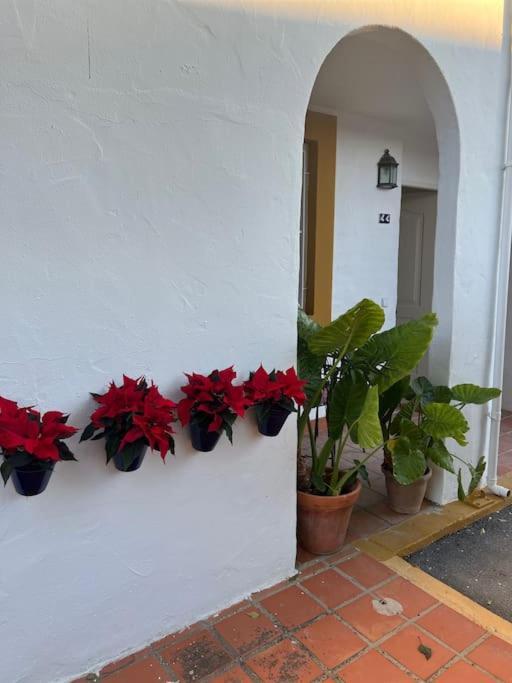 Apartamento A 8Km Sevilla Centro Valencina de la Concepción Exterior photo